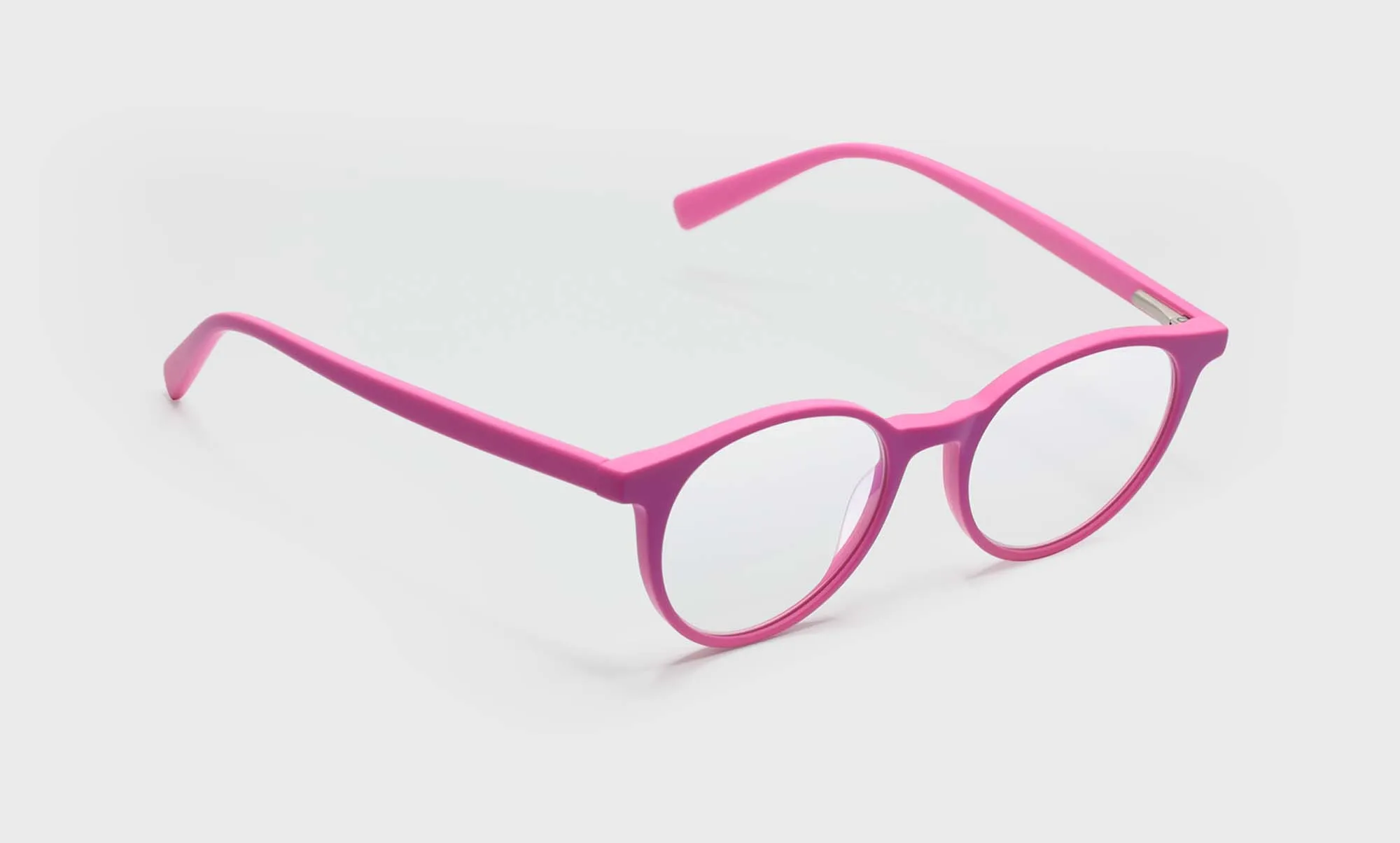 Case Closed Sunglasses (Sale)