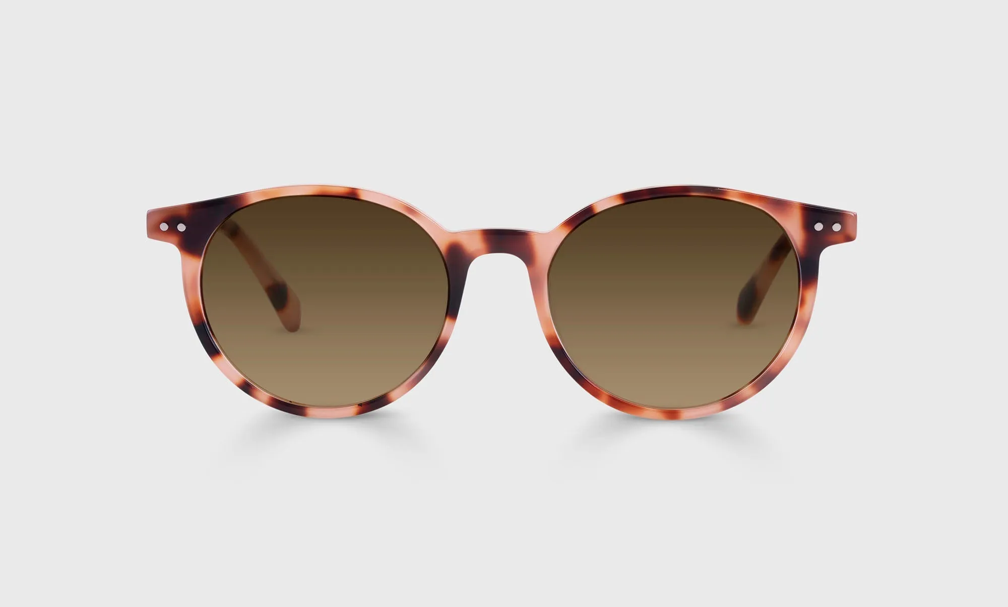 Case Closed Sunglasses (Sale)