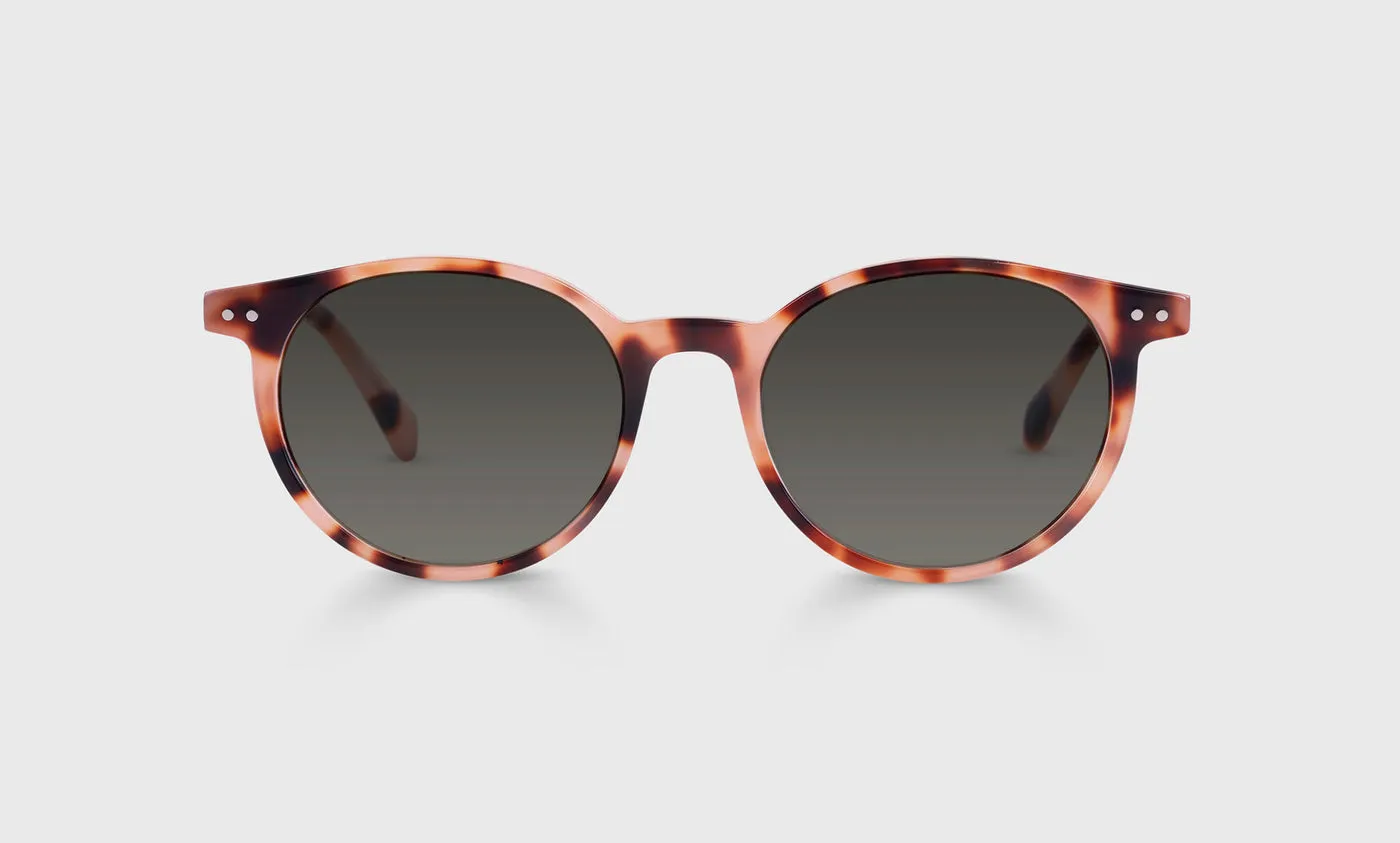 Case Closed Sunglasses (Sale)