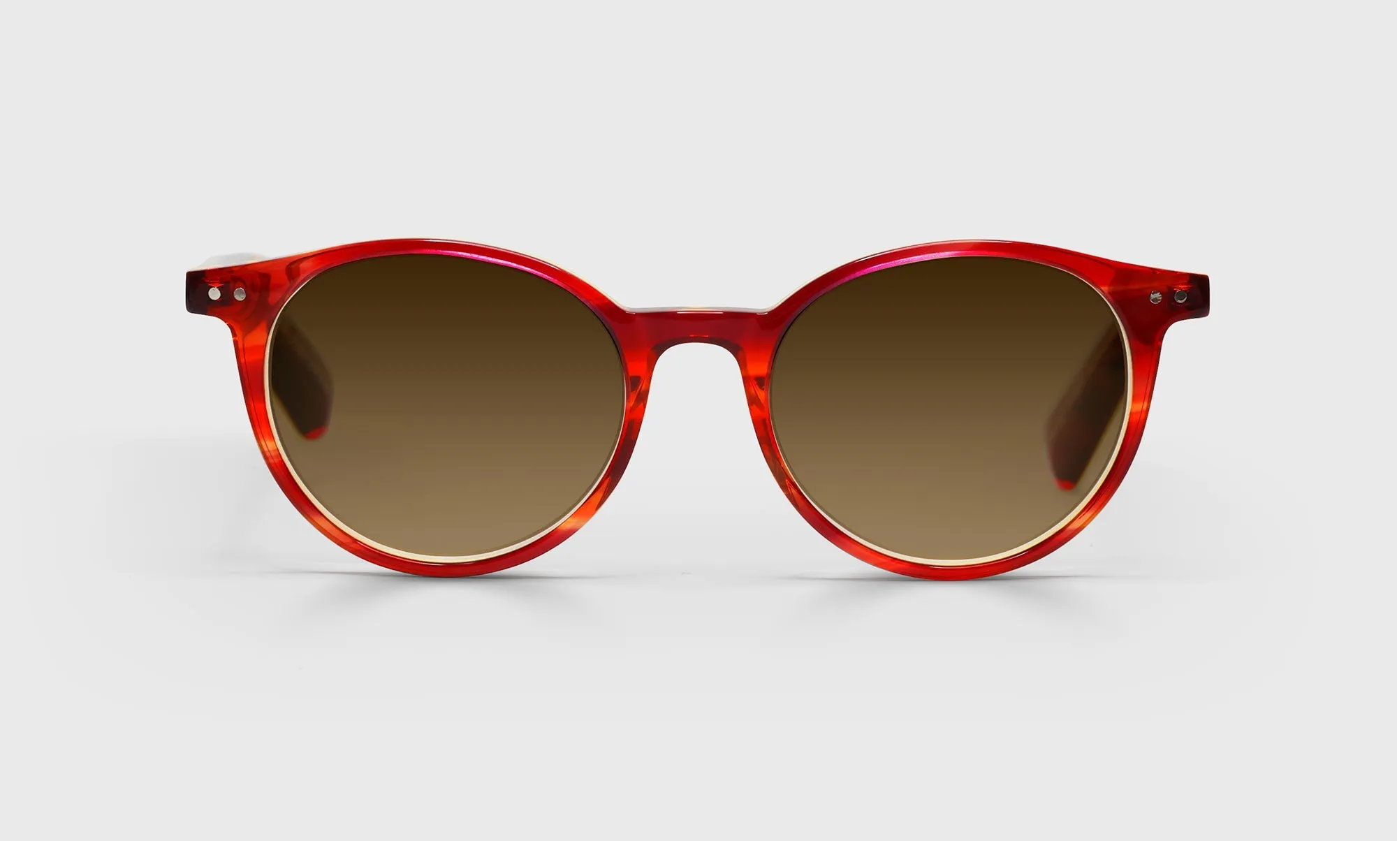 Case Closed Sunglasses (Sale)