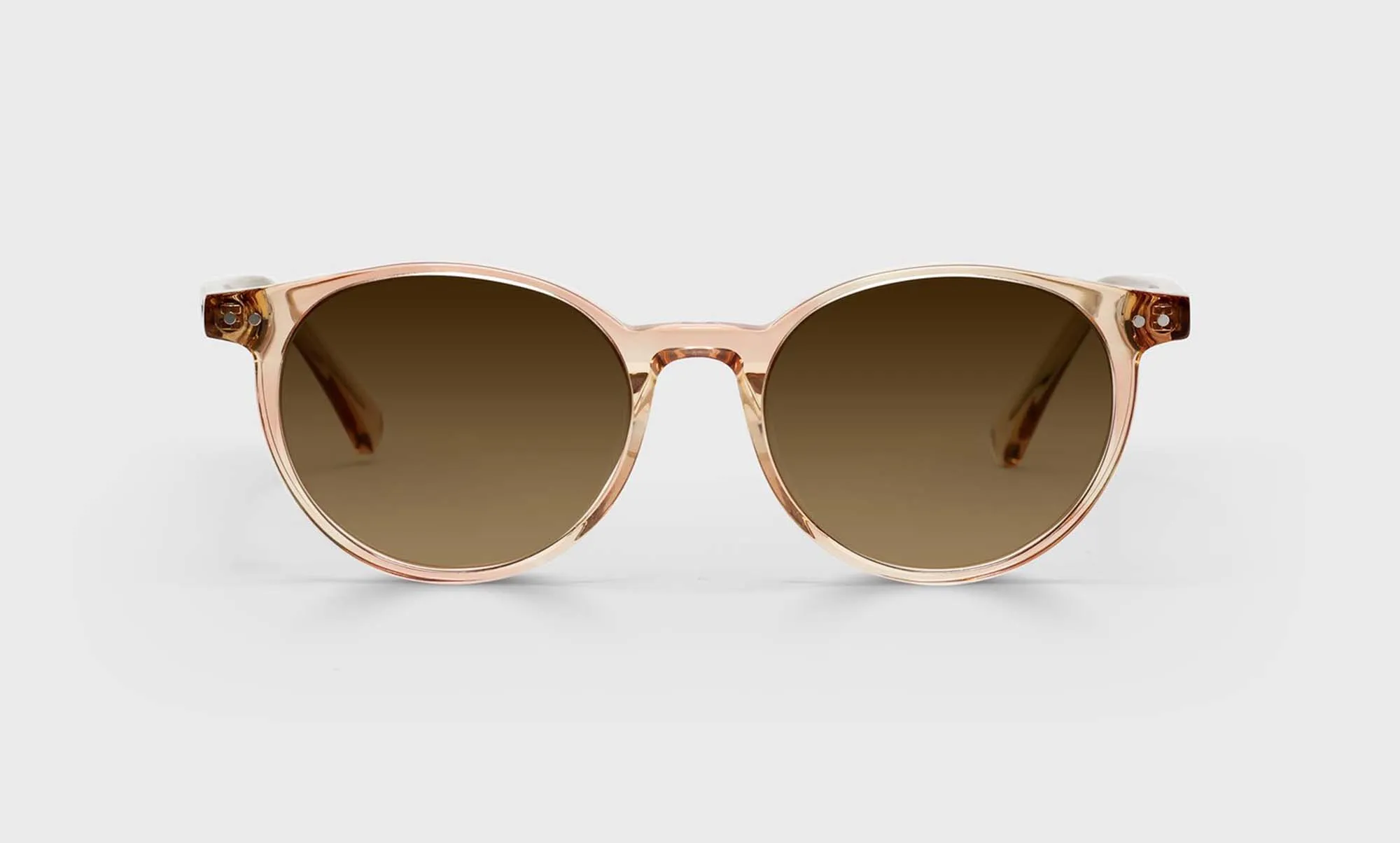 Case Closed Sunglasses (Sale)