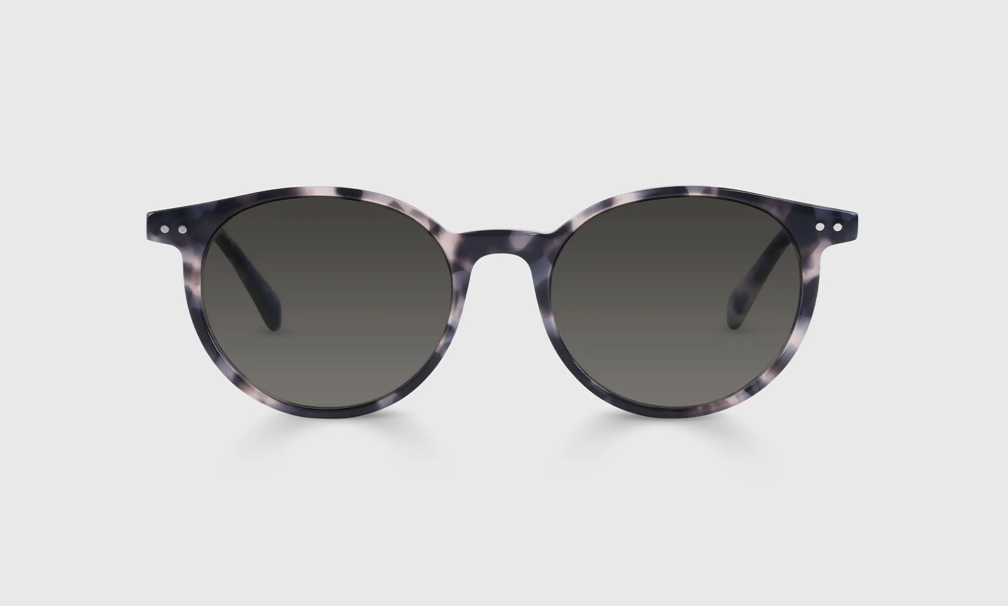 Case Closed Sunglasses (Sale)
