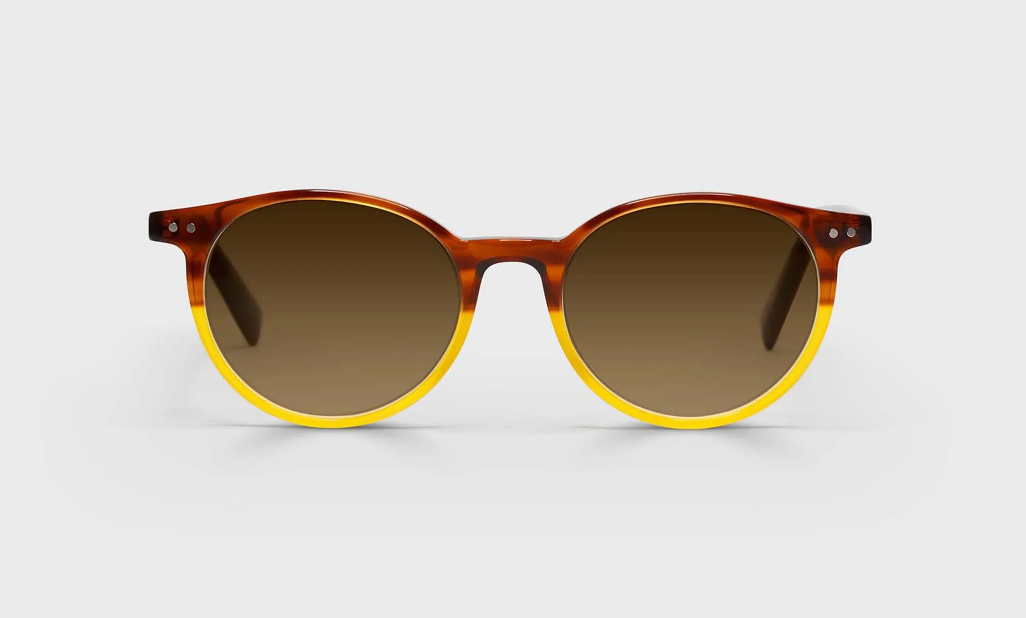 Case Closed Sunglasses (Sale)
