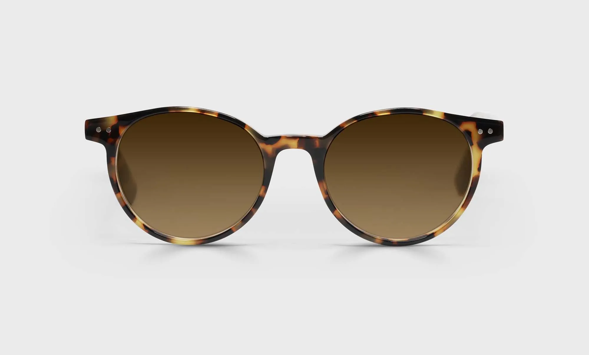 Case Closed Sunglasses (Sale)