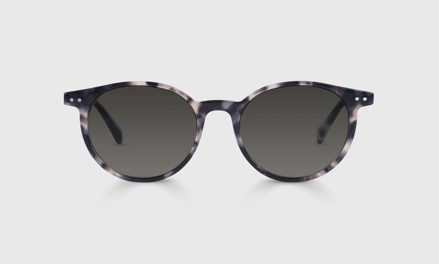 Case Closed Sunglasses (Sale)