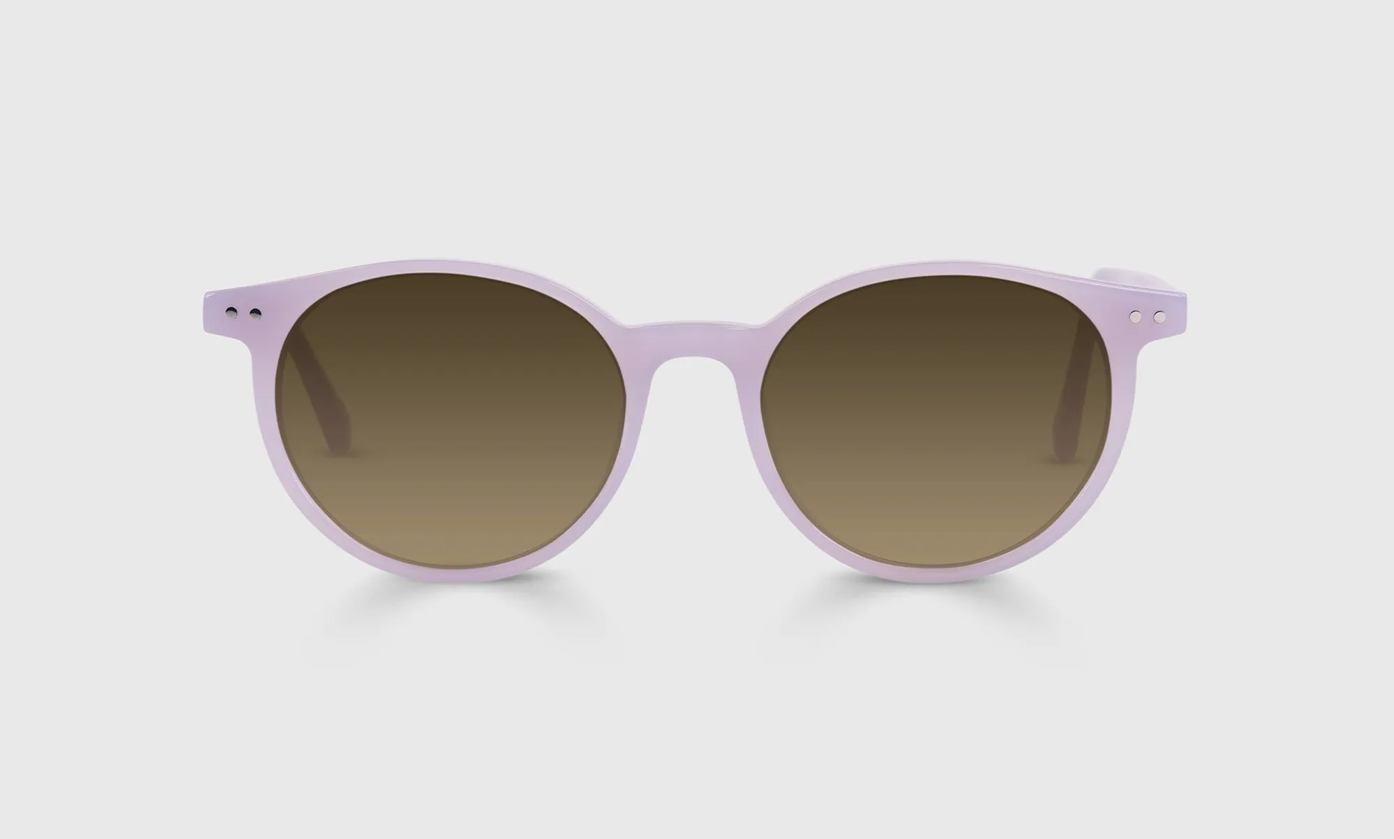 Case Closed Sunglasses (Sale)