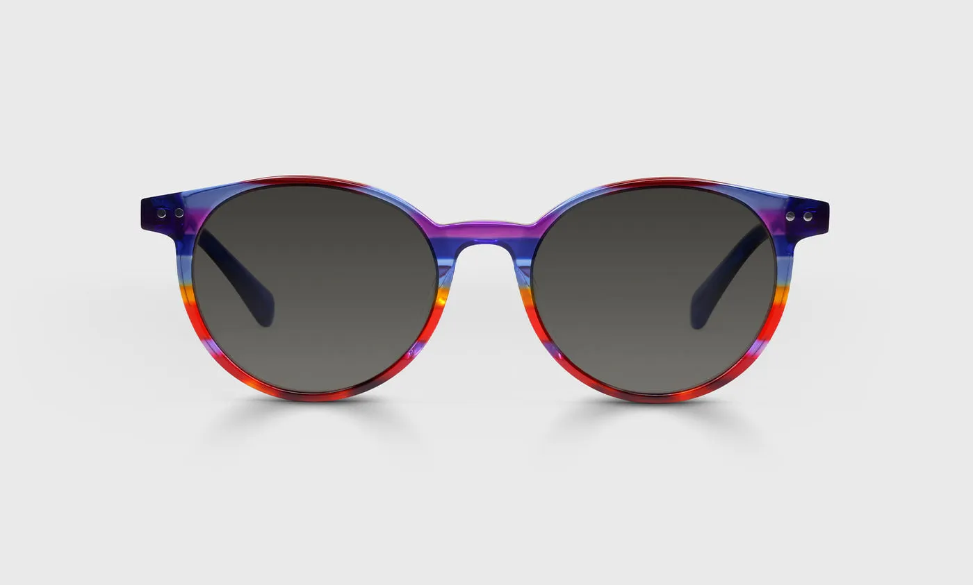 Case Closed Sunglasses (Sale)