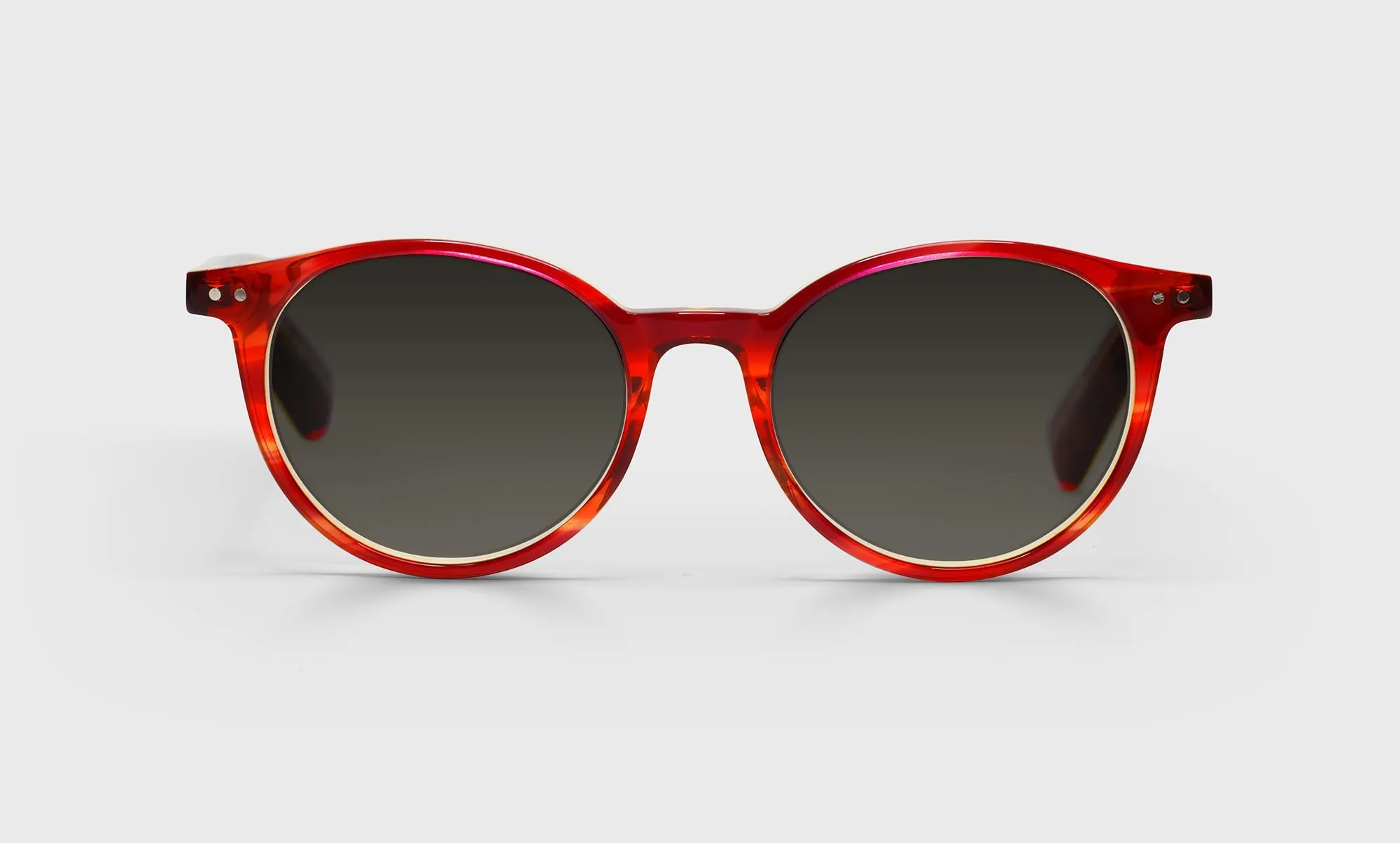 Case Closed Sunglasses (Sale)