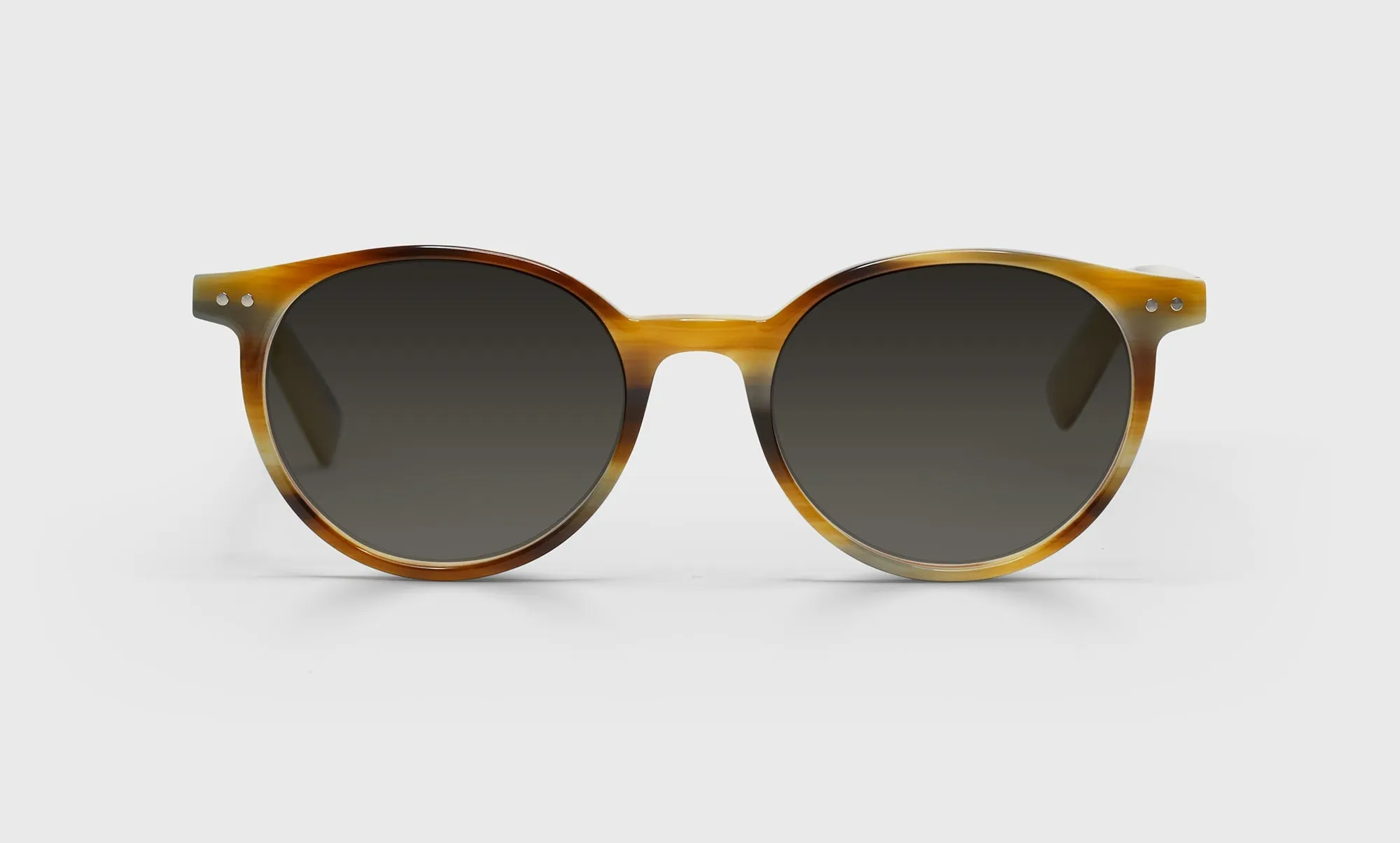 Case Closed Sunglasses (Sale)