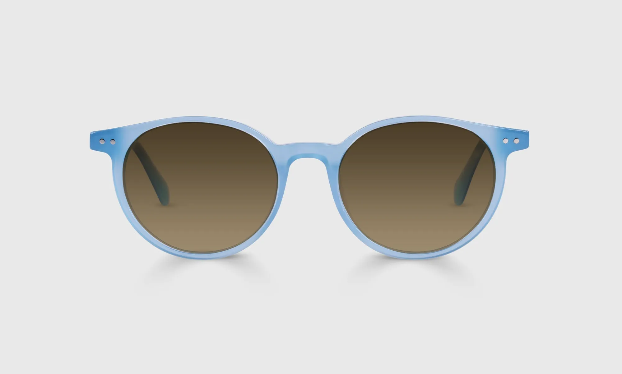 Case Closed Sunglasses (Sale)