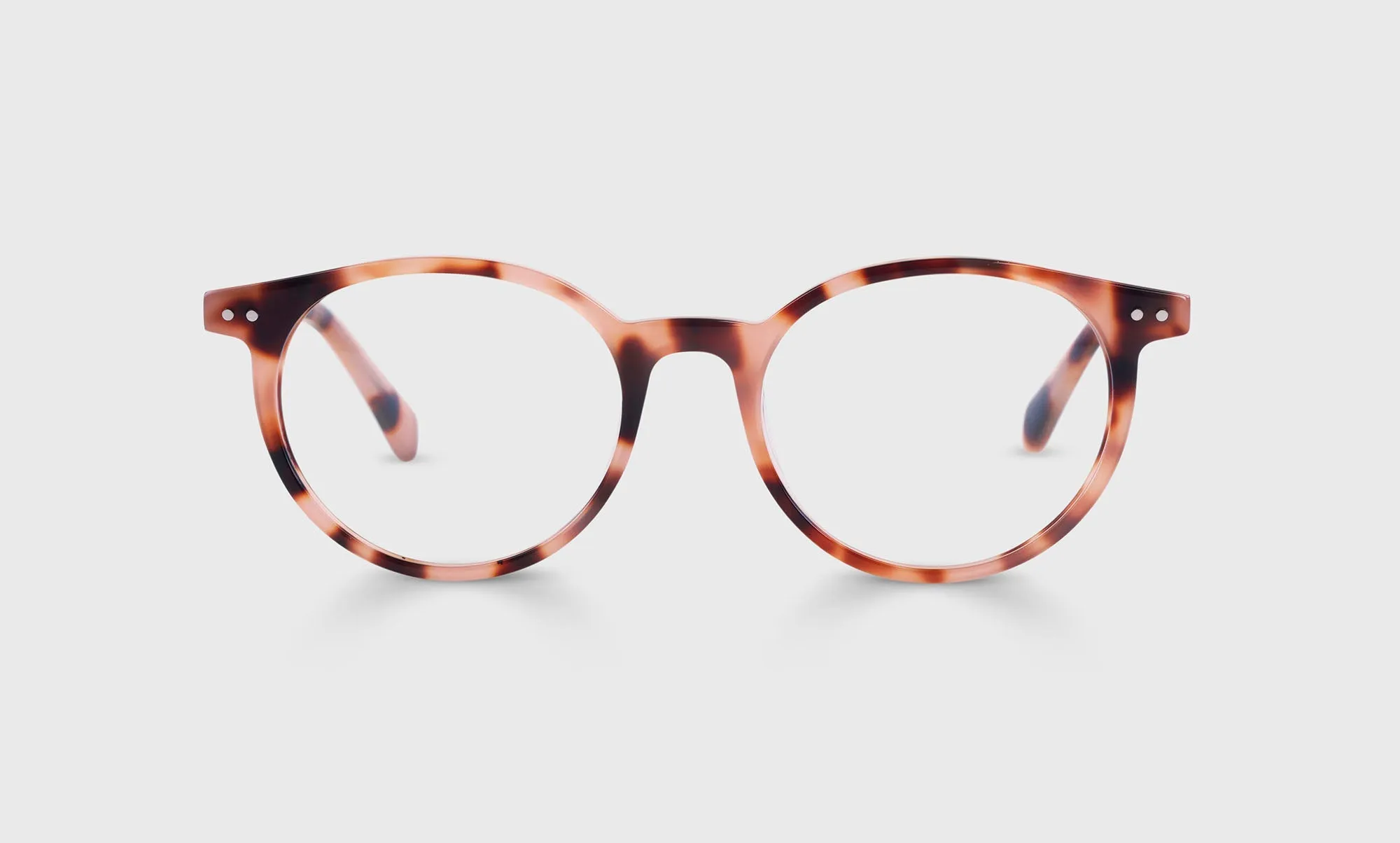 Case Closed Sunglasses (Sale)