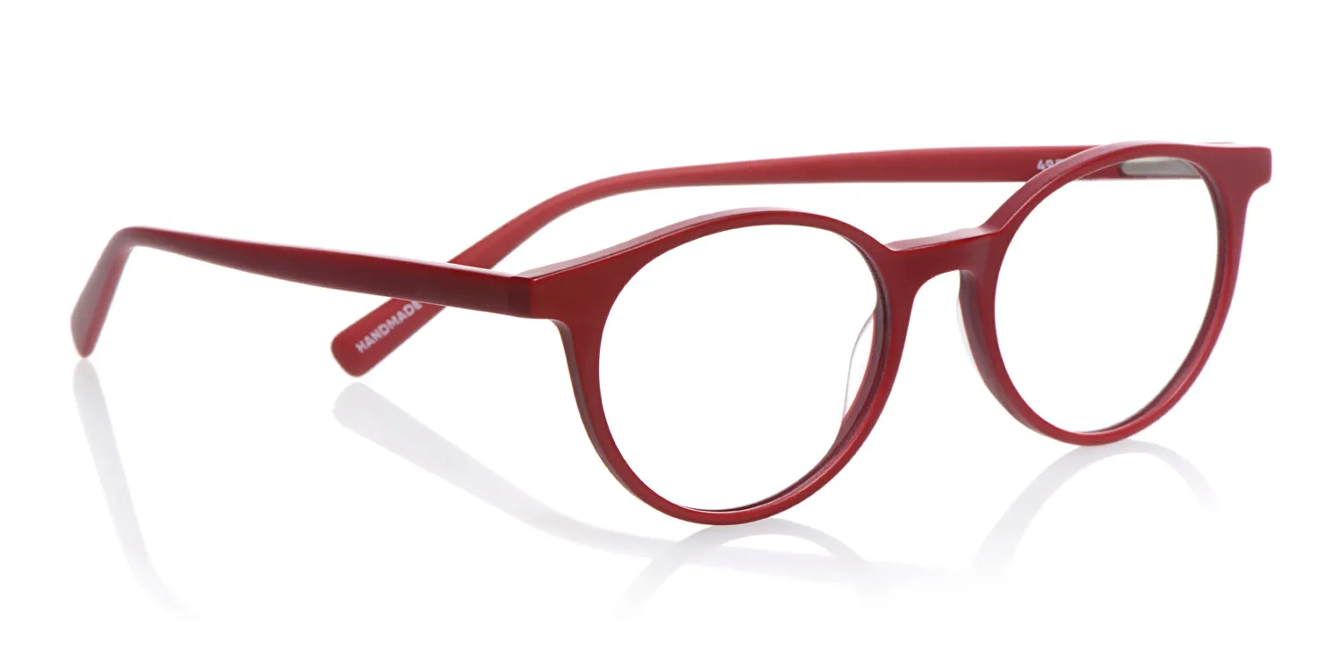 Case Closed Sunglasses (Sale)