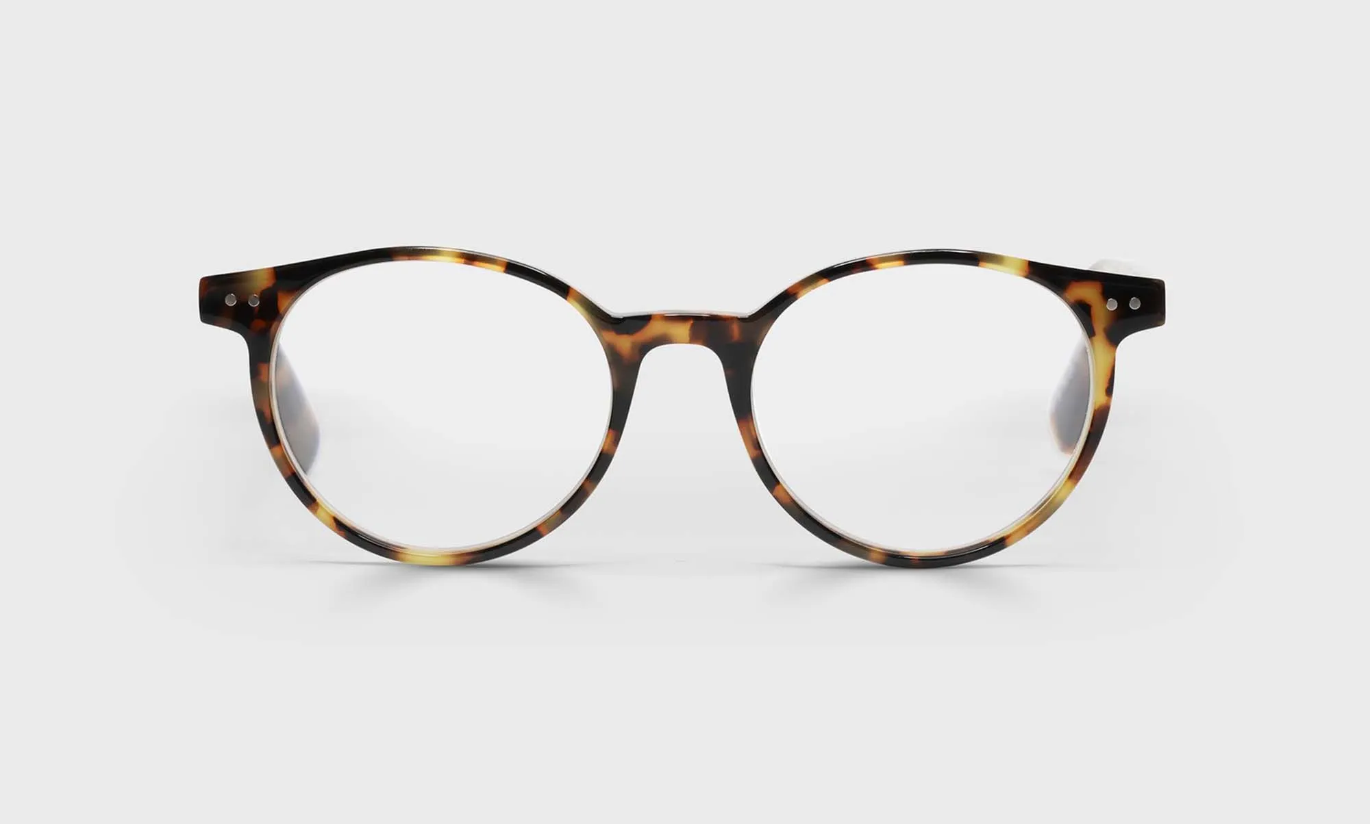 Case Closed Sunglasses (Sale)