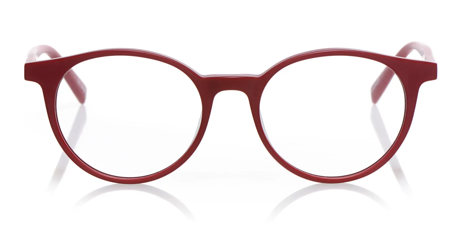 Case Closed Sunglasses (Sale)
