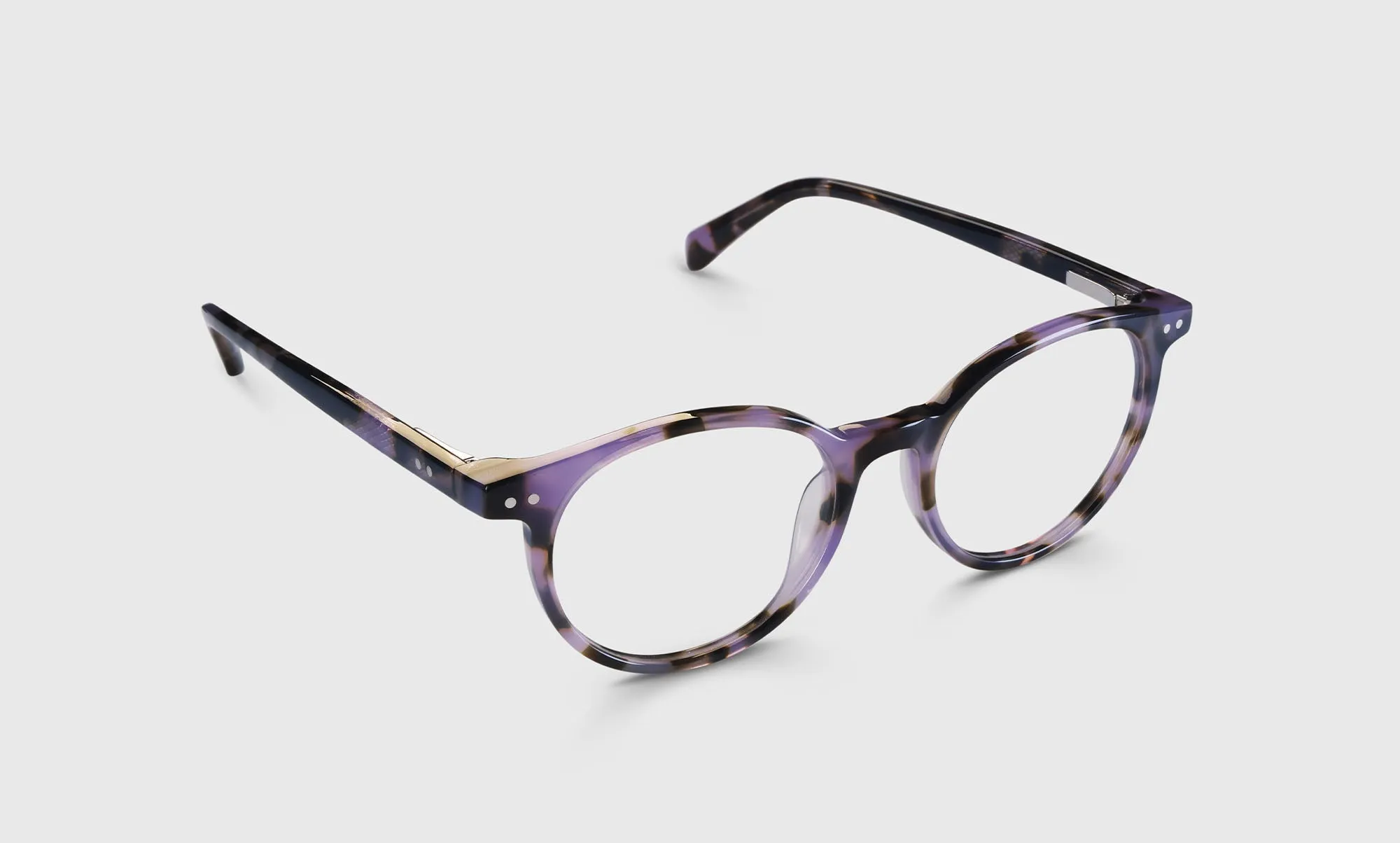 Case Closed Sunglasses (Sale)