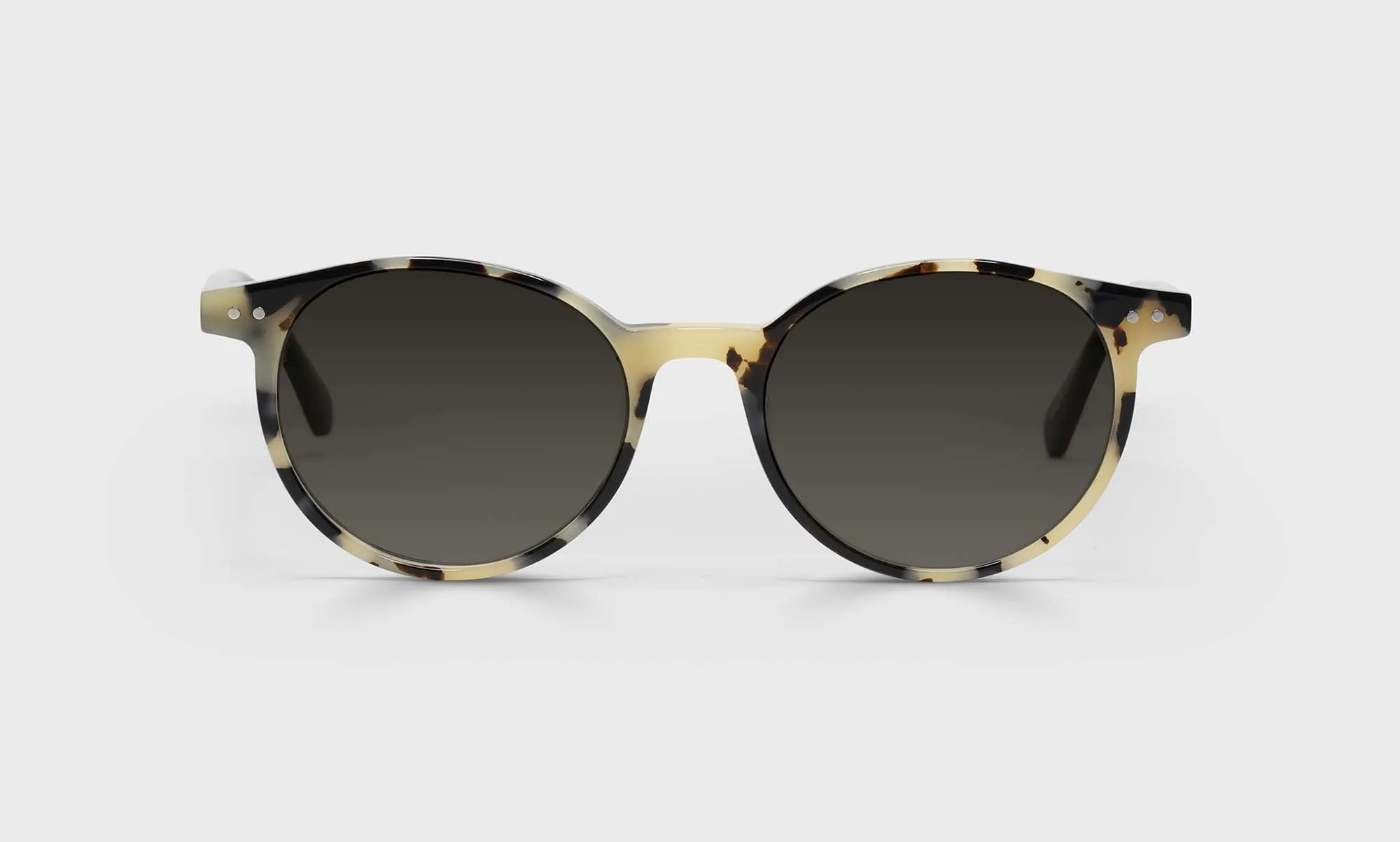 Case Closed Sunglasses (Sale)