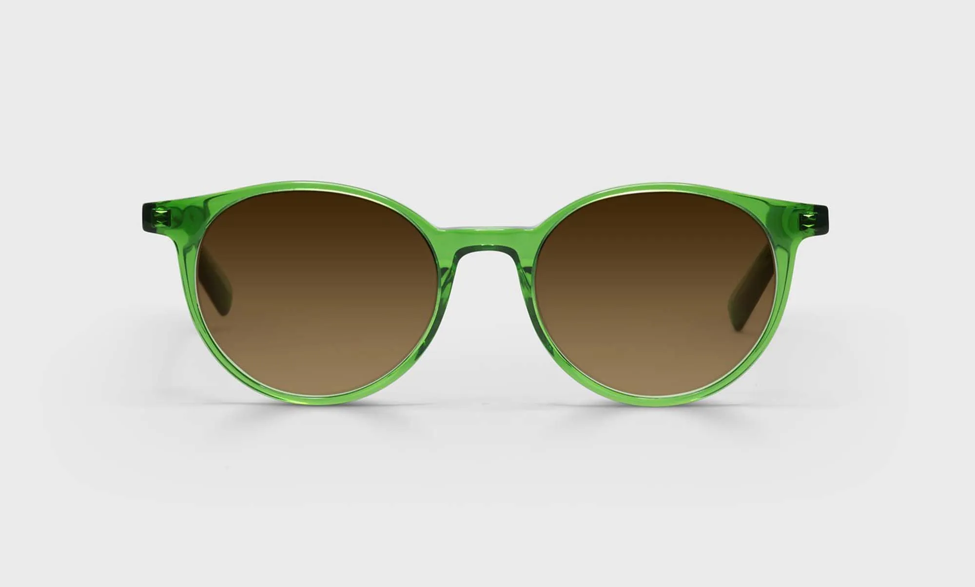 Case Closed Sunglasses (Sale)