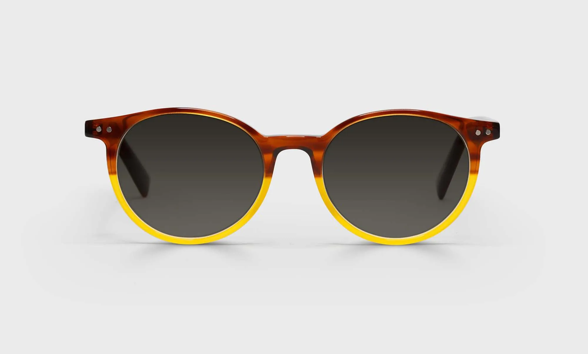 Case Closed Sunglasses (Sale)