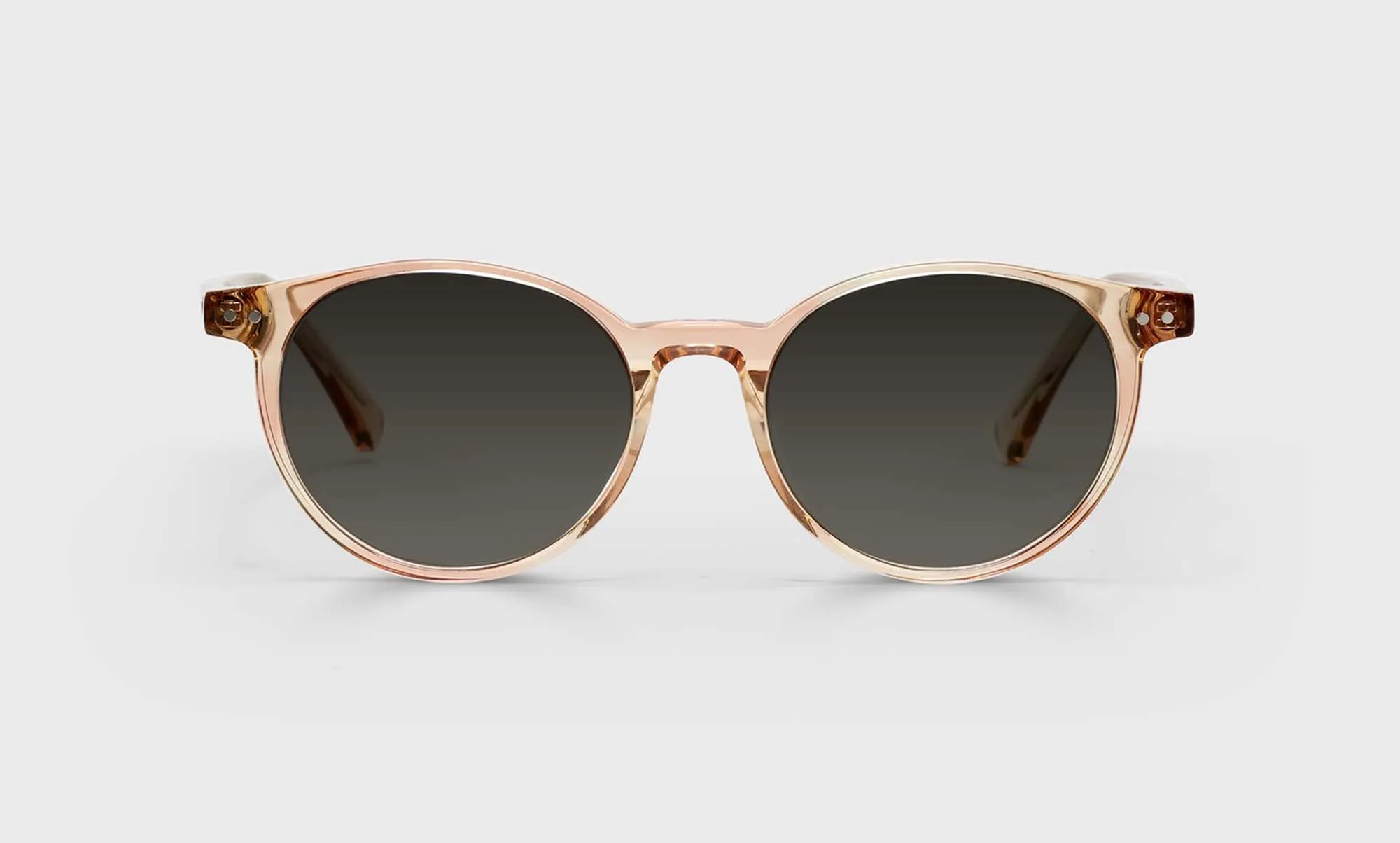 Case Closed Sunglasses (Sale)