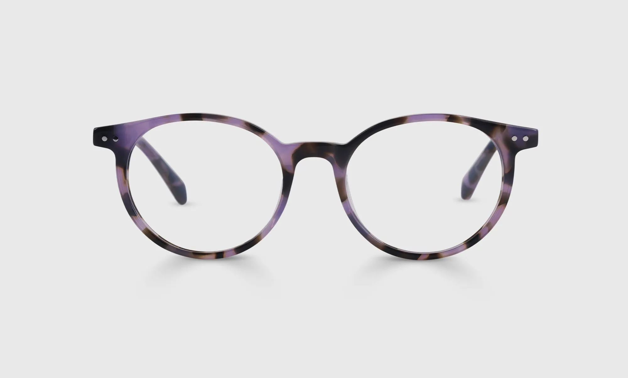 Case Closed Sunglasses (Sale)