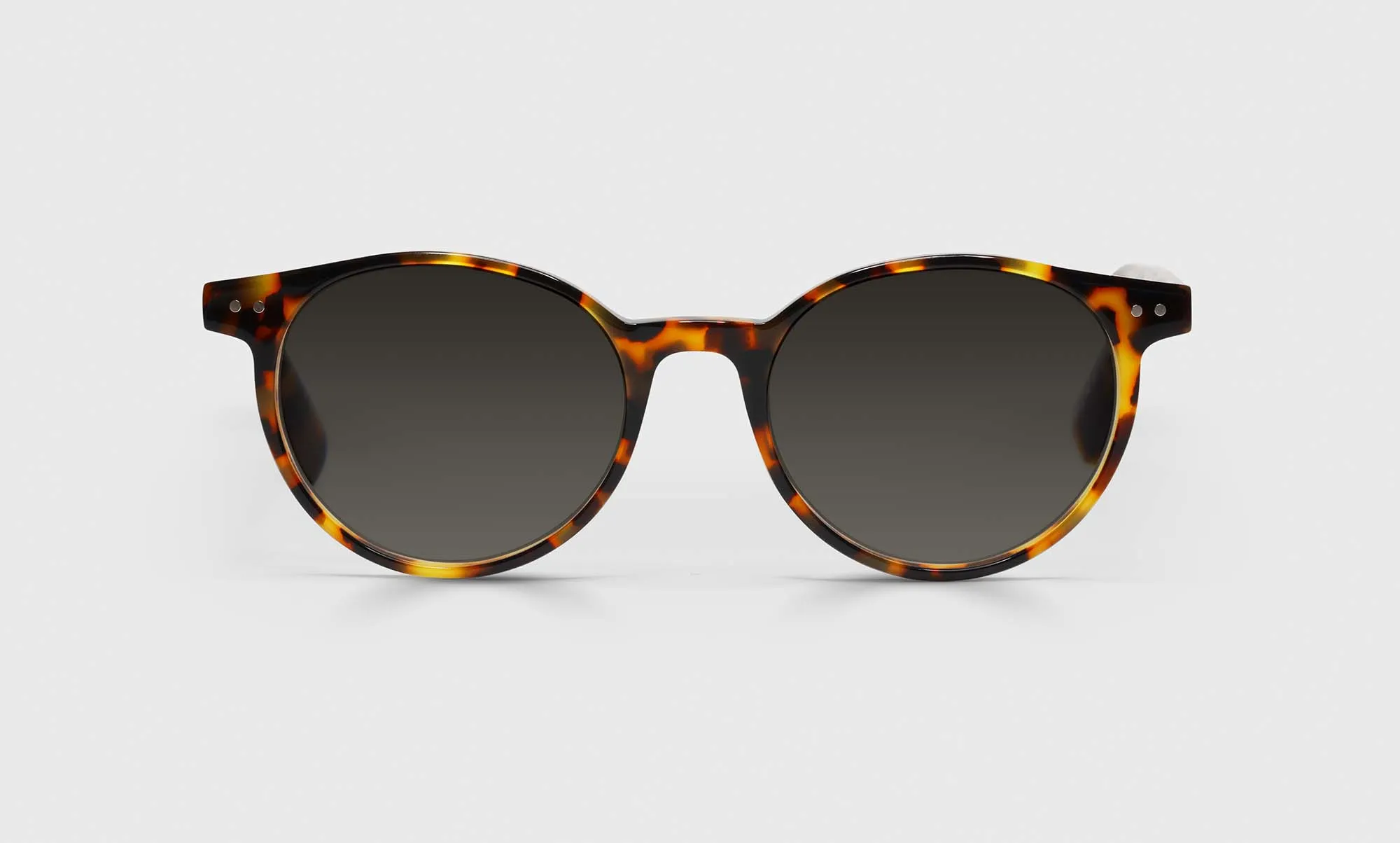Case Closed Sunglasses (Sale)