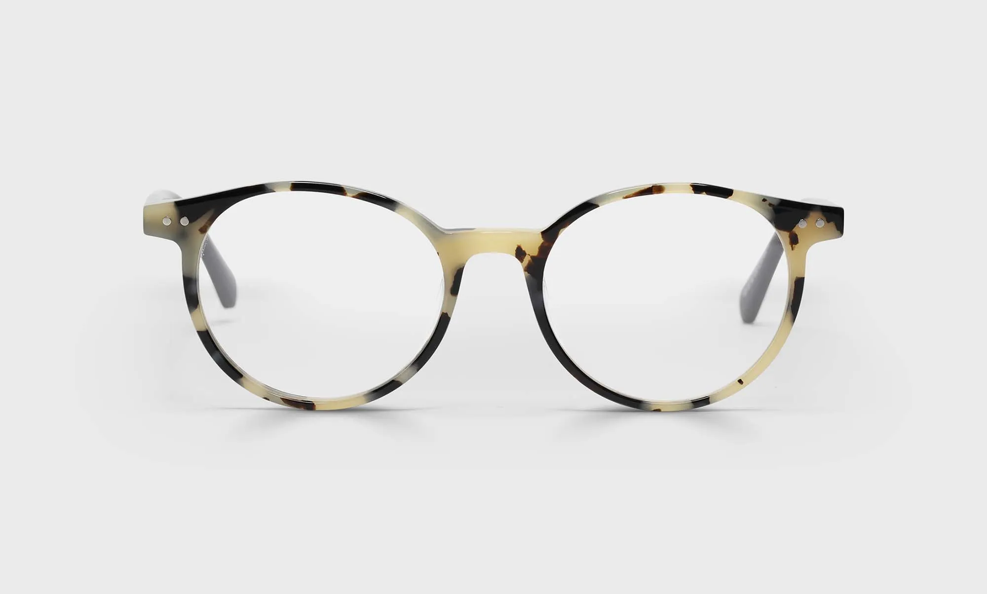 Case Closed Sunglasses (Sale)