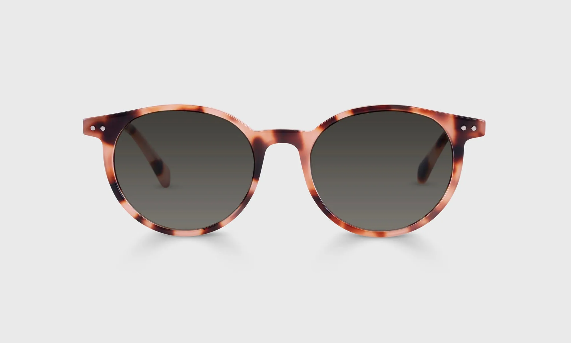 Case Closed Sunglasses (Sale)