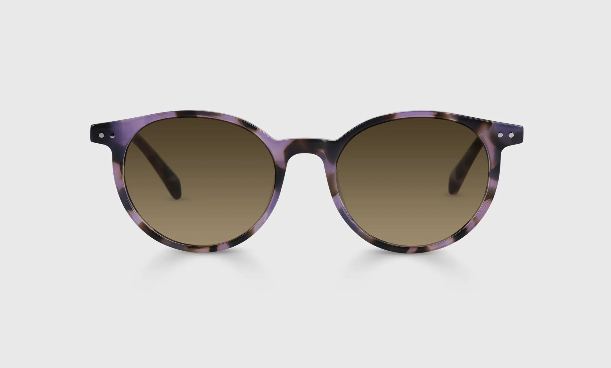 Case Closed Sunglasses (Sale)