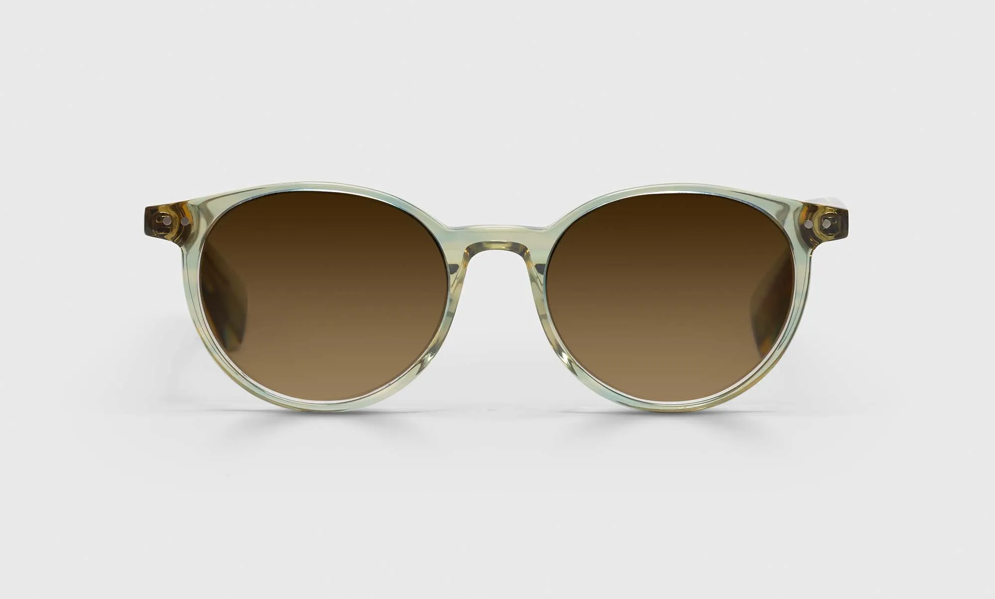Case Closed Sunglasses (Sale)