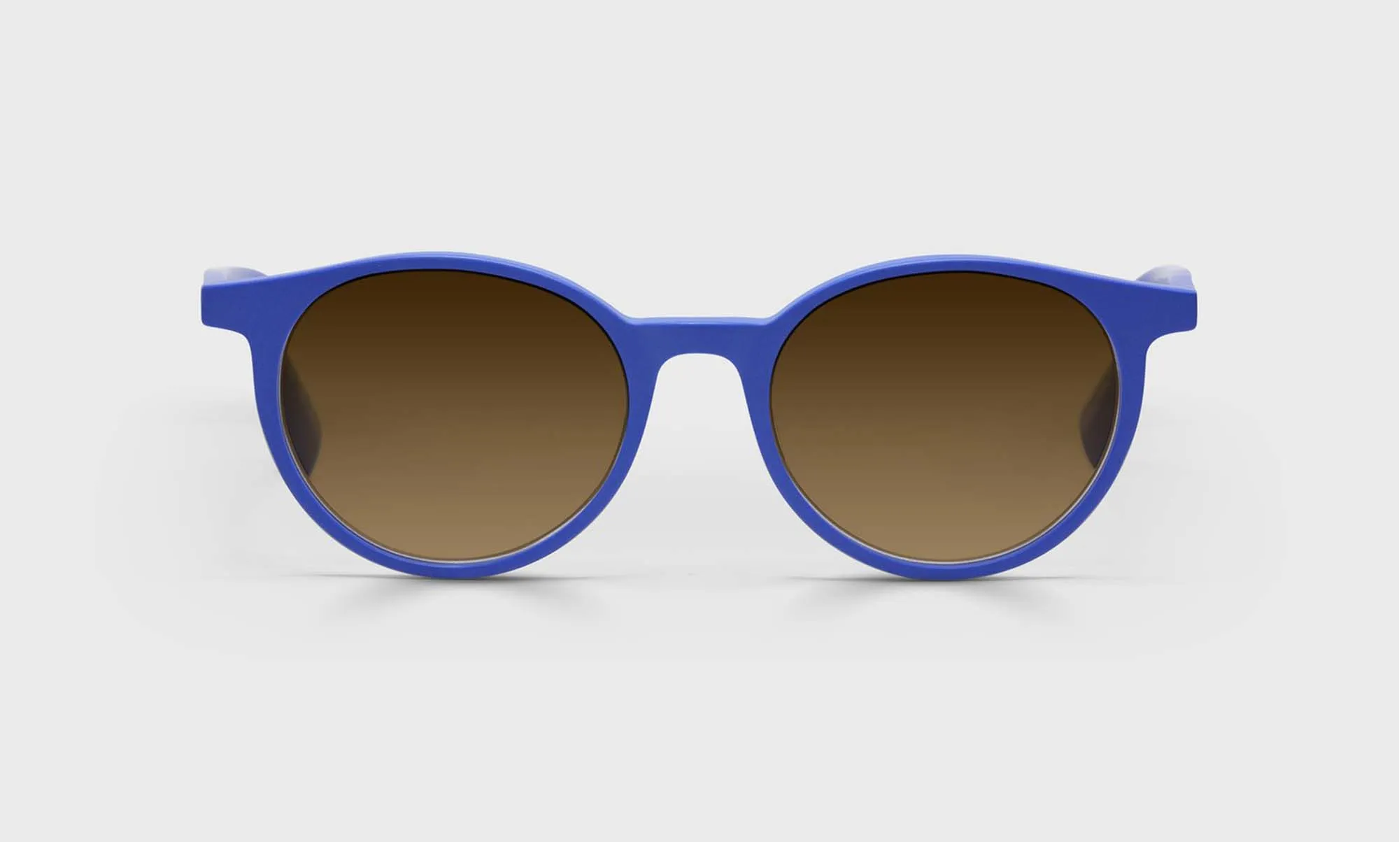 Case Closed Sunglasses (Sale)