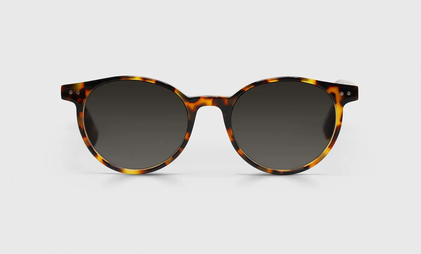 Case Closed Sunglasses (Sale)