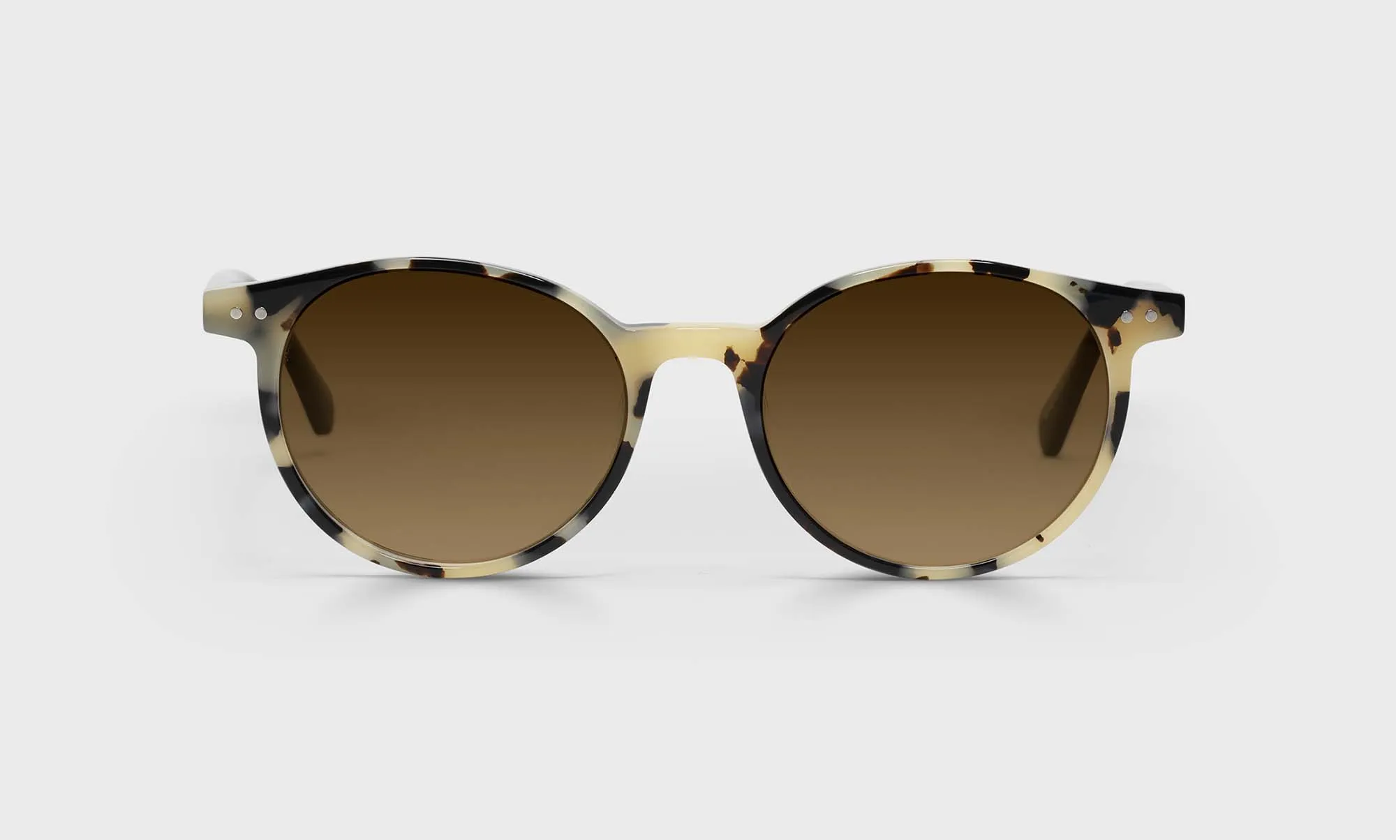 Case Closed Sunglasses (Sale)