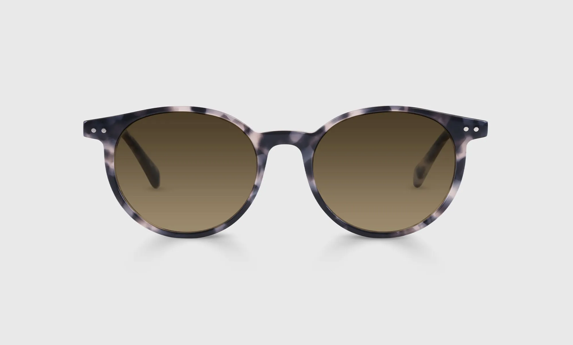 Case Closed Sunglasses (Sale)