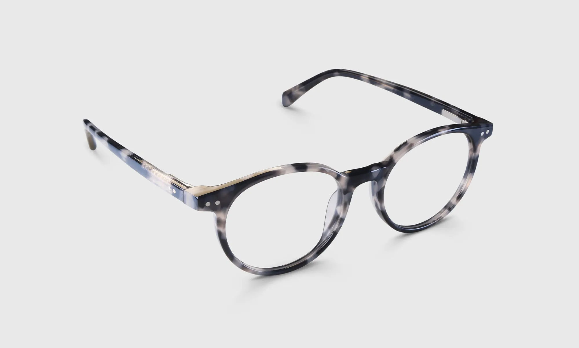 Case Closed Sunglasses (Sale)