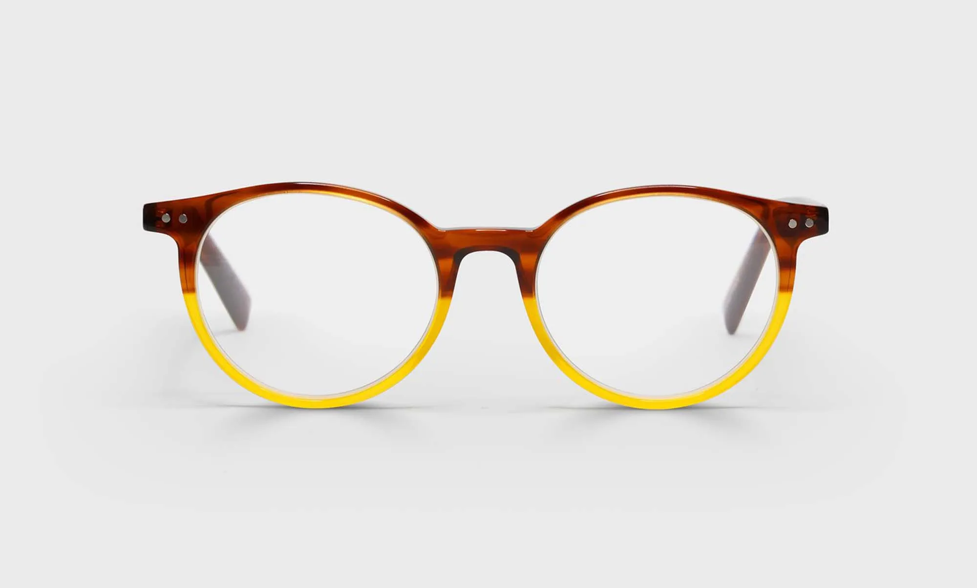 Case Closed Sunglasses (Sale)