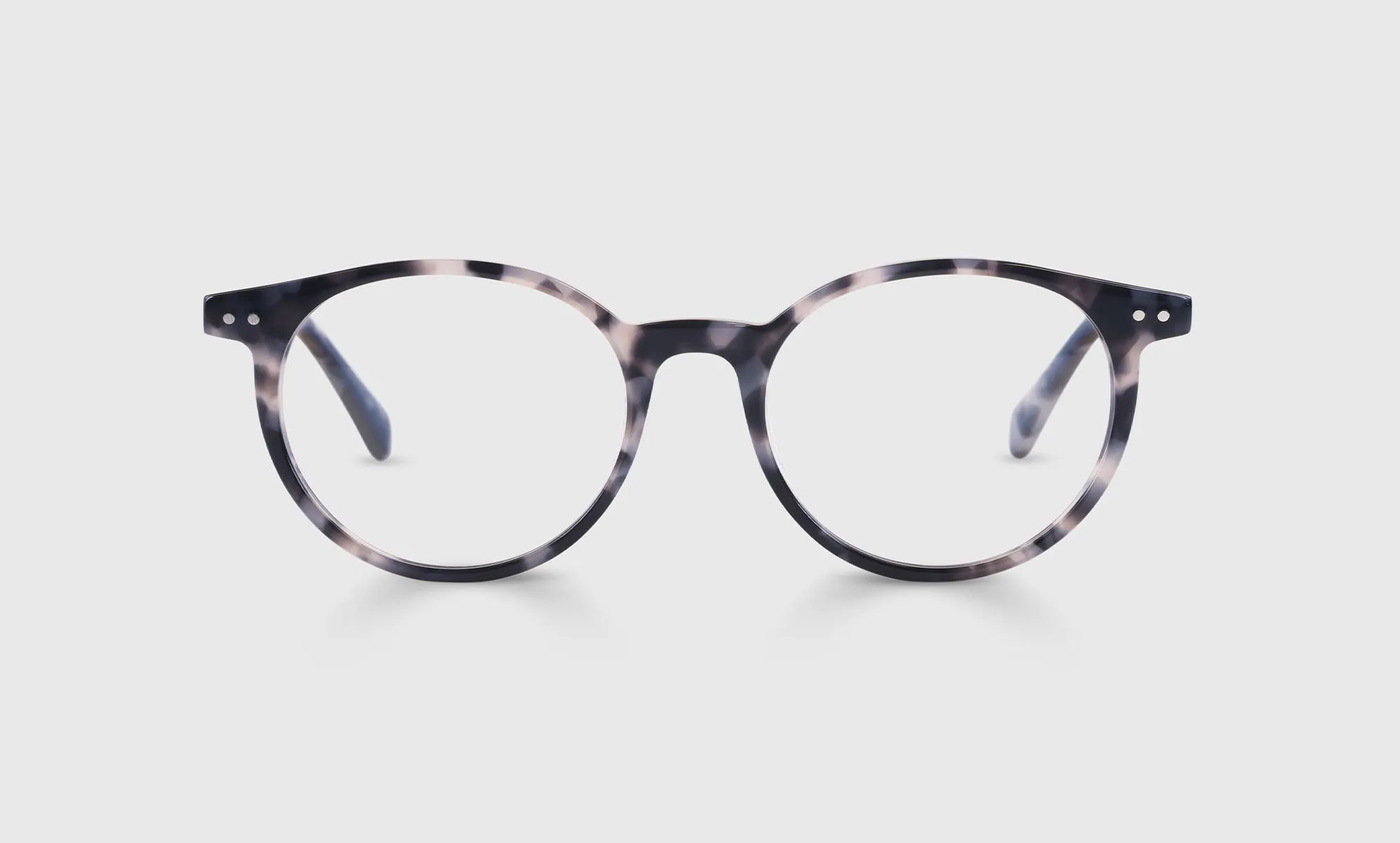 Case Closed Sunglasses (Sale)