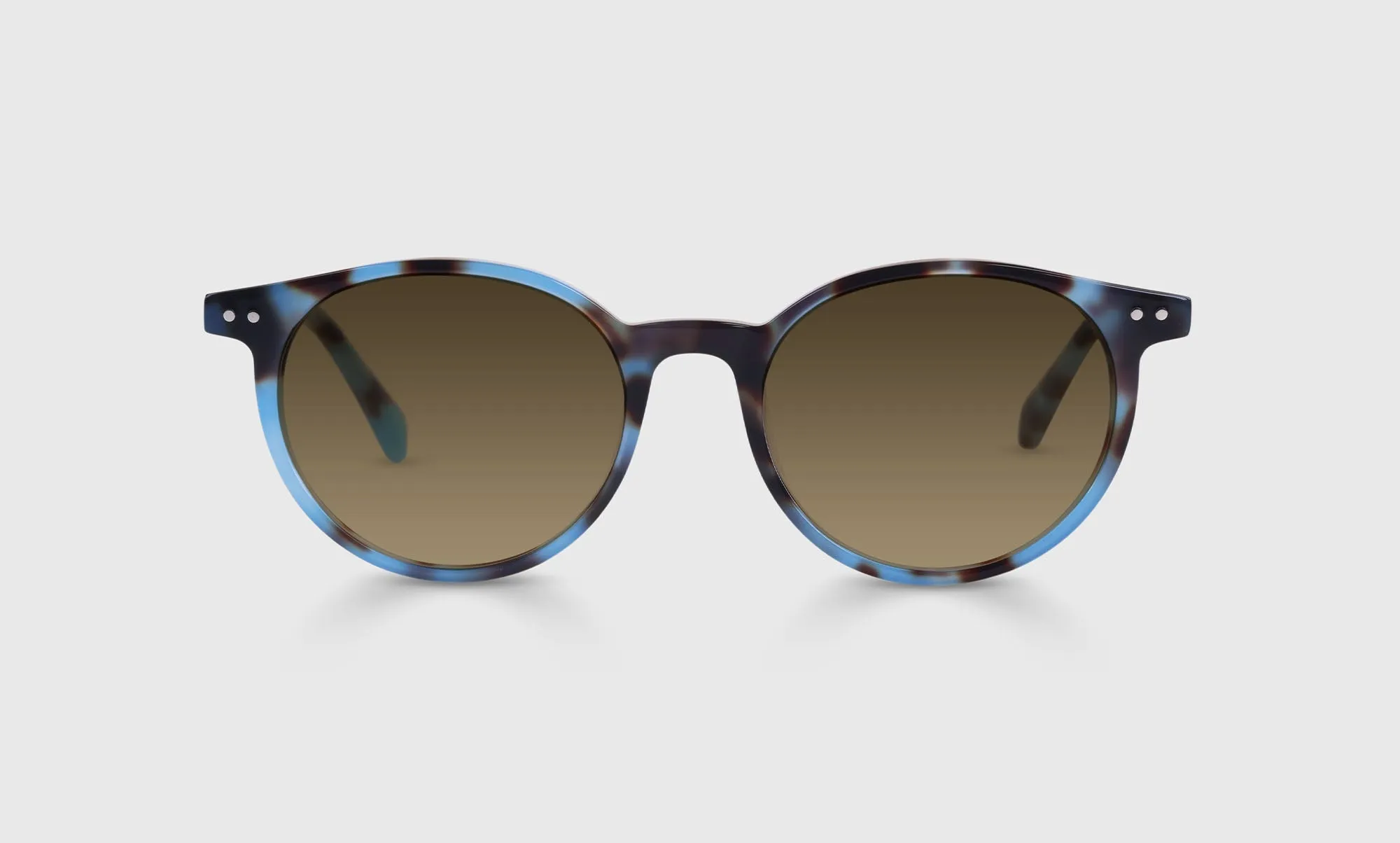 Case Closed Sunglasses (Sale)