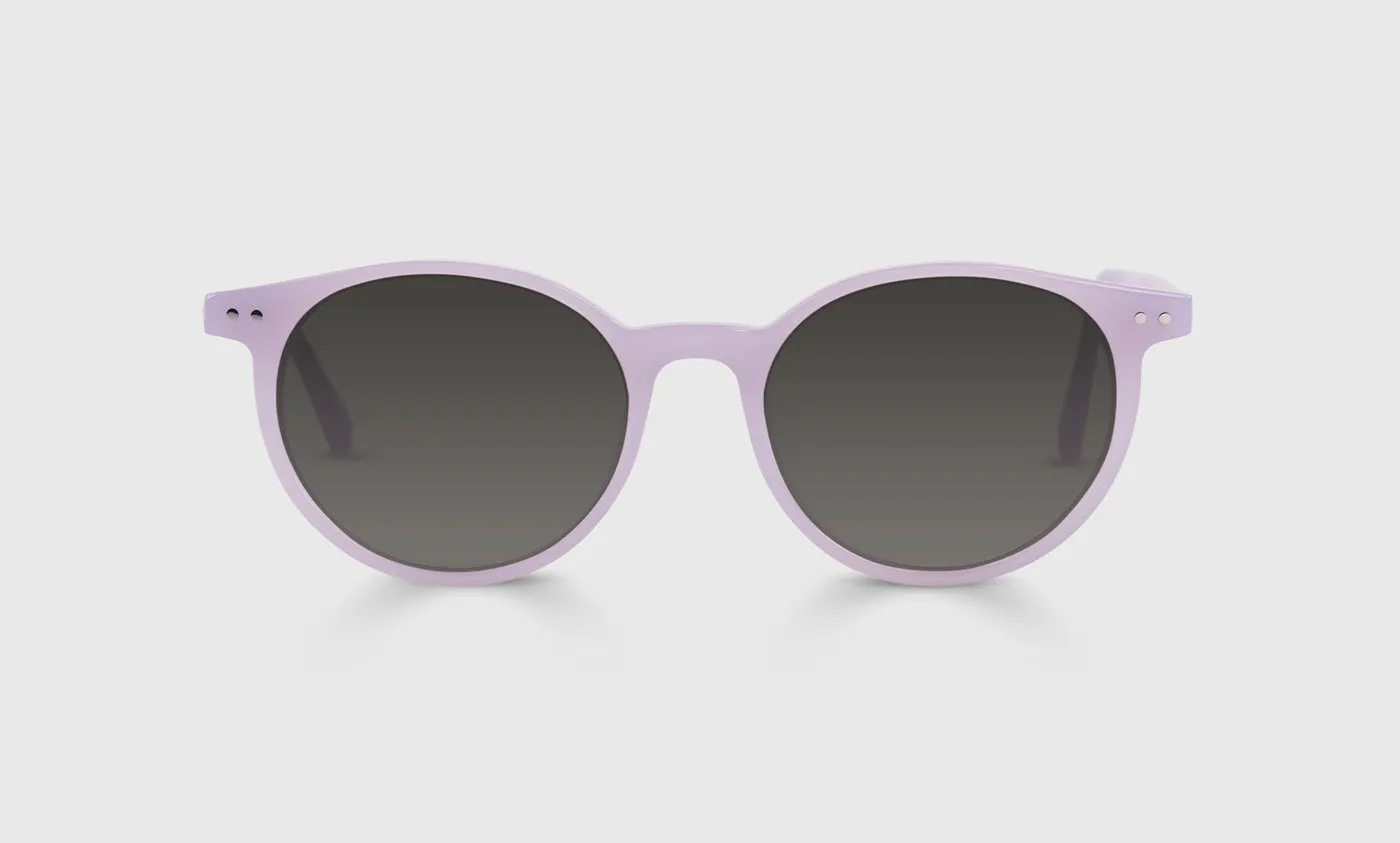 Case Closed Sunglasses (Sale)