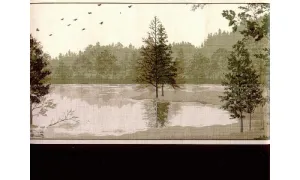 Country GT2181B Wallpaper Border