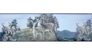 Deers B2073ny NY2073B Wallpaper Border