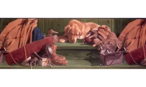 Dog 10030303 Wallpaper Border