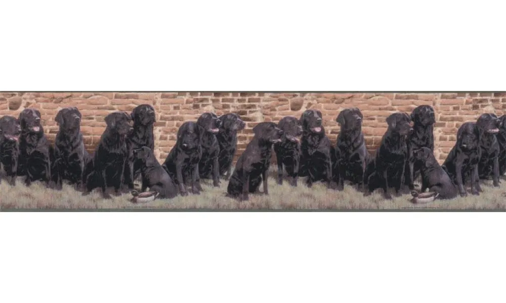 Dogs b102691 Wallpaper Border