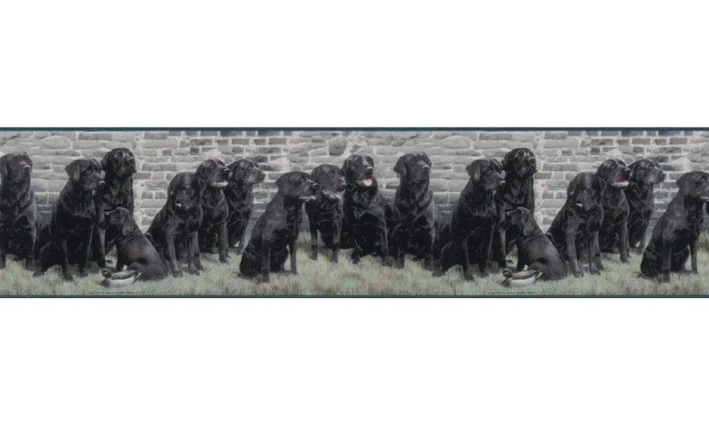 Dogs b102692 Wallpaper Border