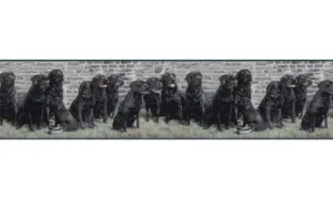 Dogs b102692 Wallpaper Border