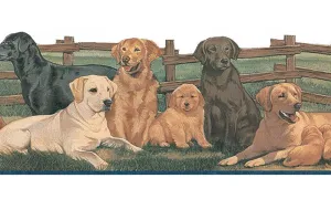 Dogs TA39037DB Wallpaper Border