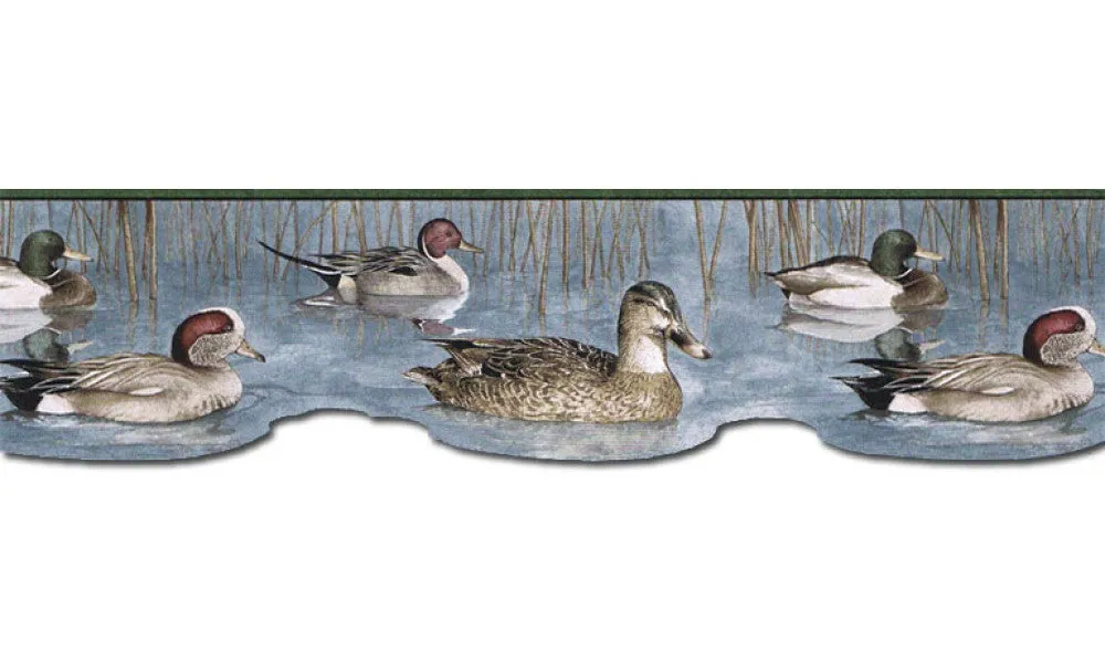 Ducks CJ80018DB Wallpaper Border