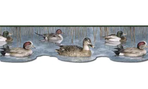 Ducks CJ80018DB Wallpaper Border