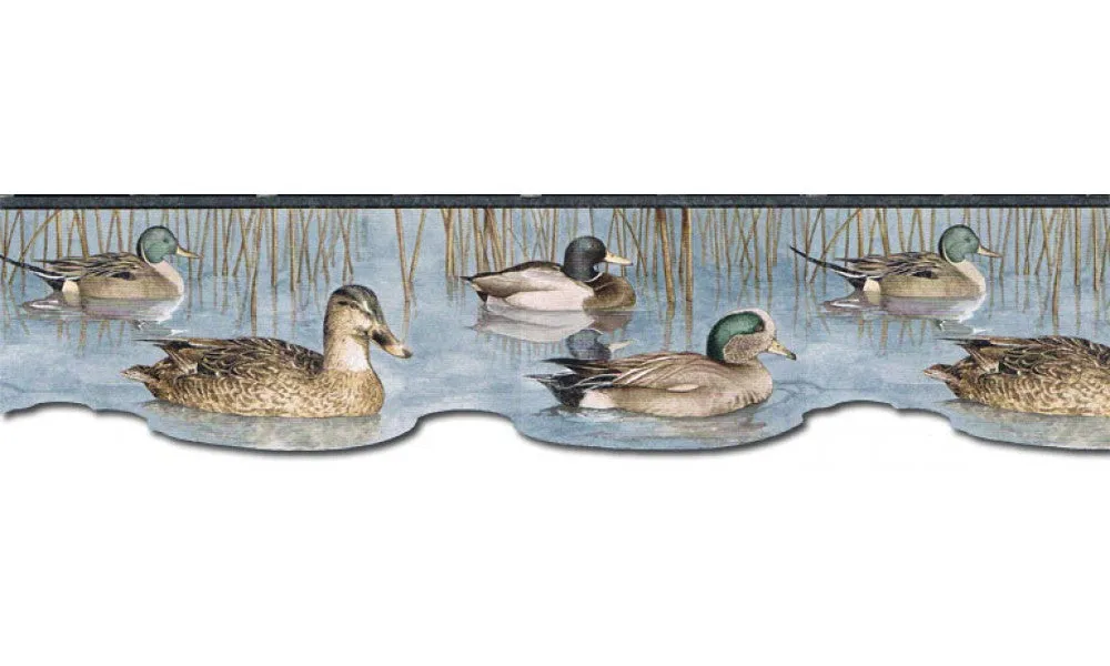 Ducks CJ80019DB Wallpaper Border