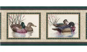 Ducks CS8381 Wallpaper Border