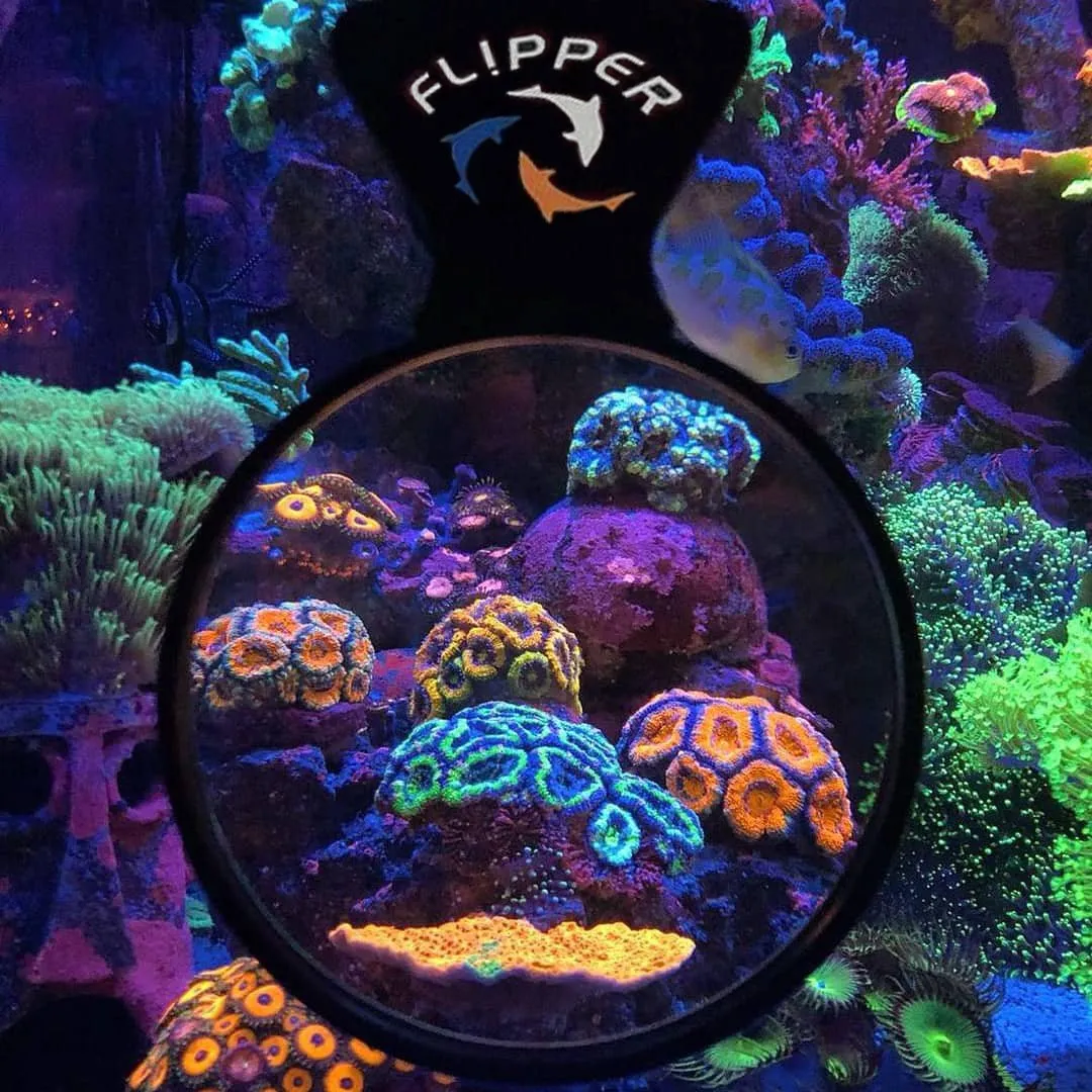 Flipper DeepSee Magnified Magnetic 4 Inch Viewer
